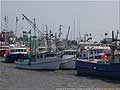 Guy Fanguy - Artist - Photographer - Guy Fanguy - Louisiana - Houma - Blessing of the Fleets (103).jpg Size: 72032 - 6